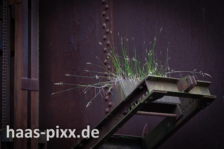 Altes Hüttenareal, Neunkirchen