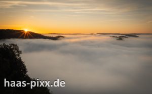Saarschleife im Nebel